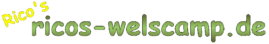 rico-guiding.de